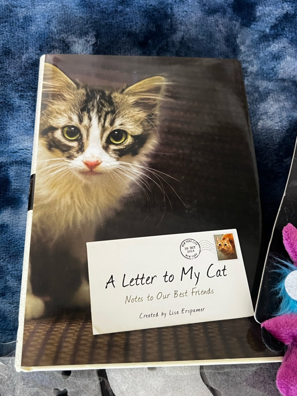 Cat mom appreciation bundle - Picture 2 of 6